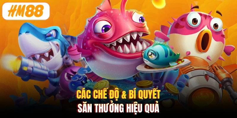 Các chế độ & bí quyết săn thưởng hiệu quả