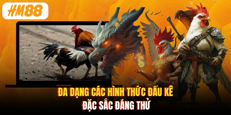 Đa dạng các hình thức đấu kê đặc sắc đáng thử