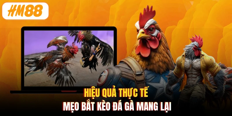Hiệu quả thực tế mẹo bắt kèo đá gà mang lại