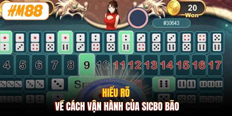 Hiểu rõ về cách vận hành của Sicbo Bão