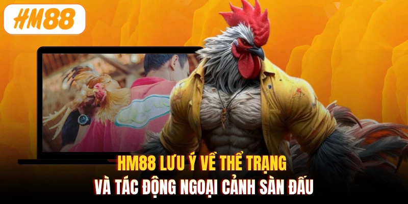 HM88 lưu ý về thể trạng và tác động ngoại cảnh sàn đấu