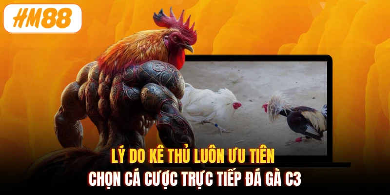 Lý do kê thủ luôn ưu tiên chọn cá cược trực tiếp đá gà c3