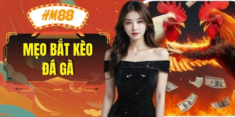 Mẹo Bắt Kèo Đá Gà
