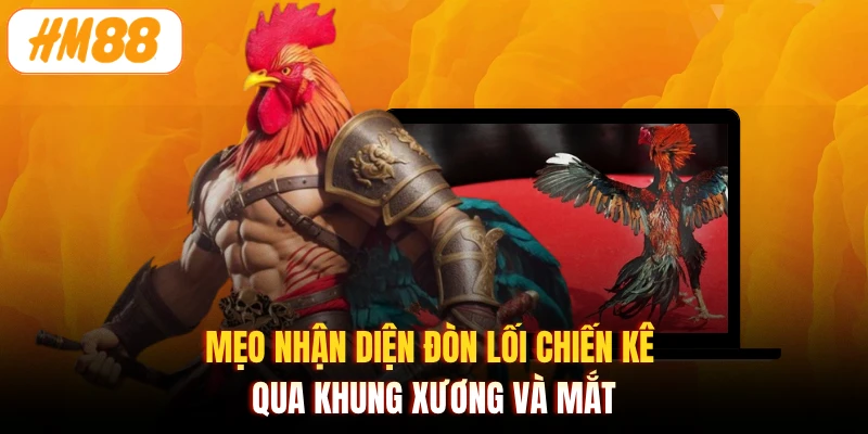 Mẹo nhận diện đòn lối chiến kê qua khung xương và mắt