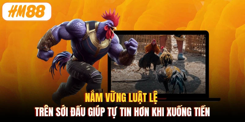 Nắm vững luật lệ trên sới đấu giúp tự tin hơn khi xuống tiền