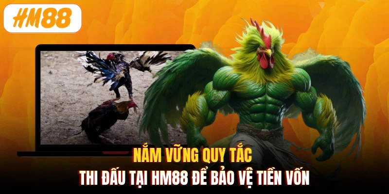 Nắm vững quy tắc thi đấu tại HM88 để bảo vệ tiền vốn