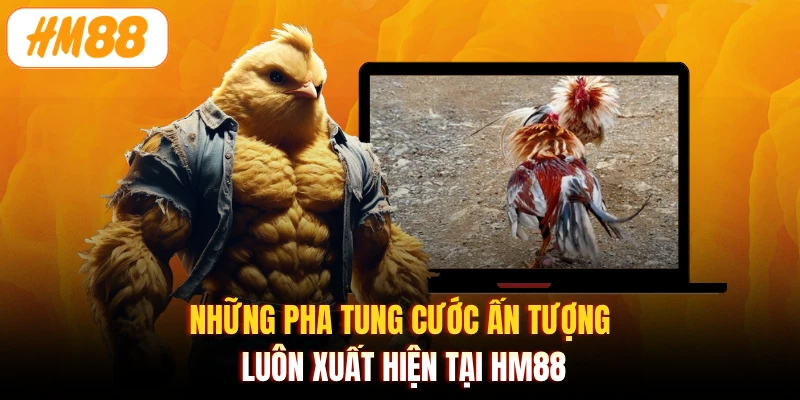 Những pha tung cước ấn tượng luôn xuất hiện tại HM88
