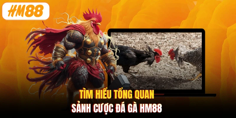 Tìm hiểu tổng quan sảnh cược đá gà HM88