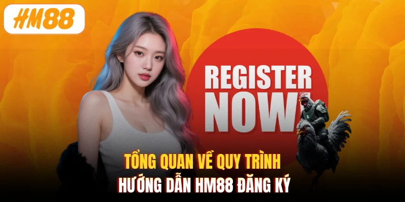 Tổng quan về quy trình hướng dẫn HM88 đăng ký